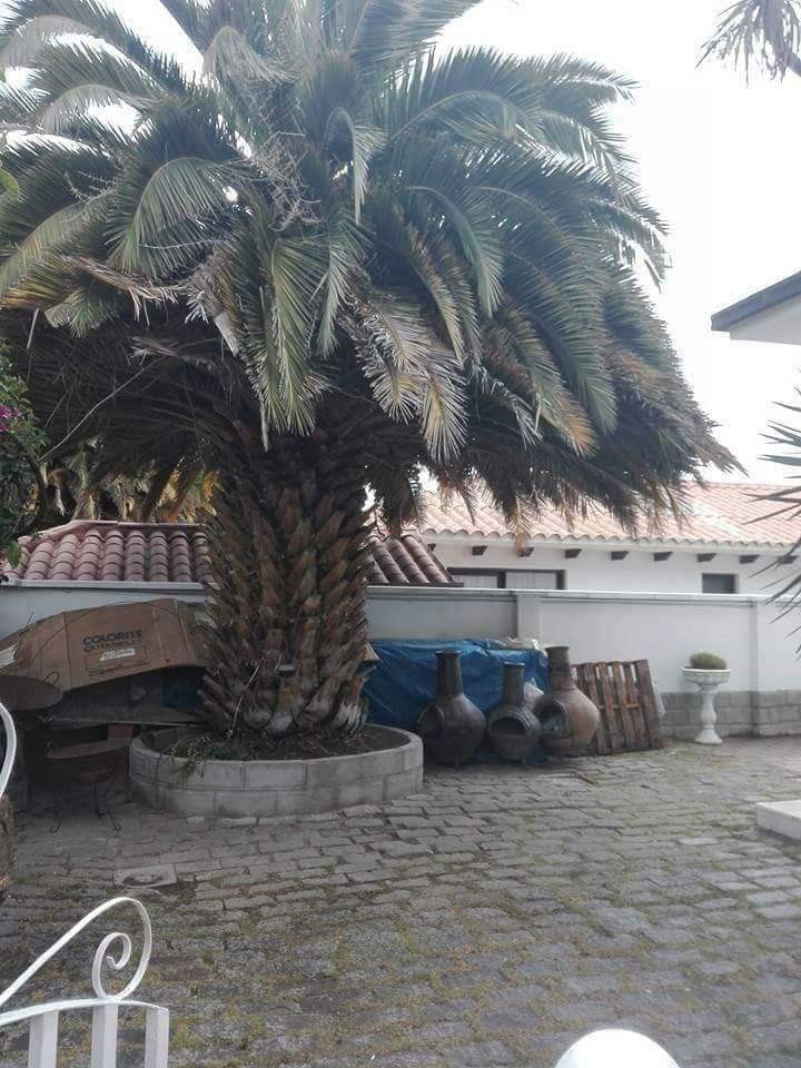 Casa Achumani calle 9 Foto 12