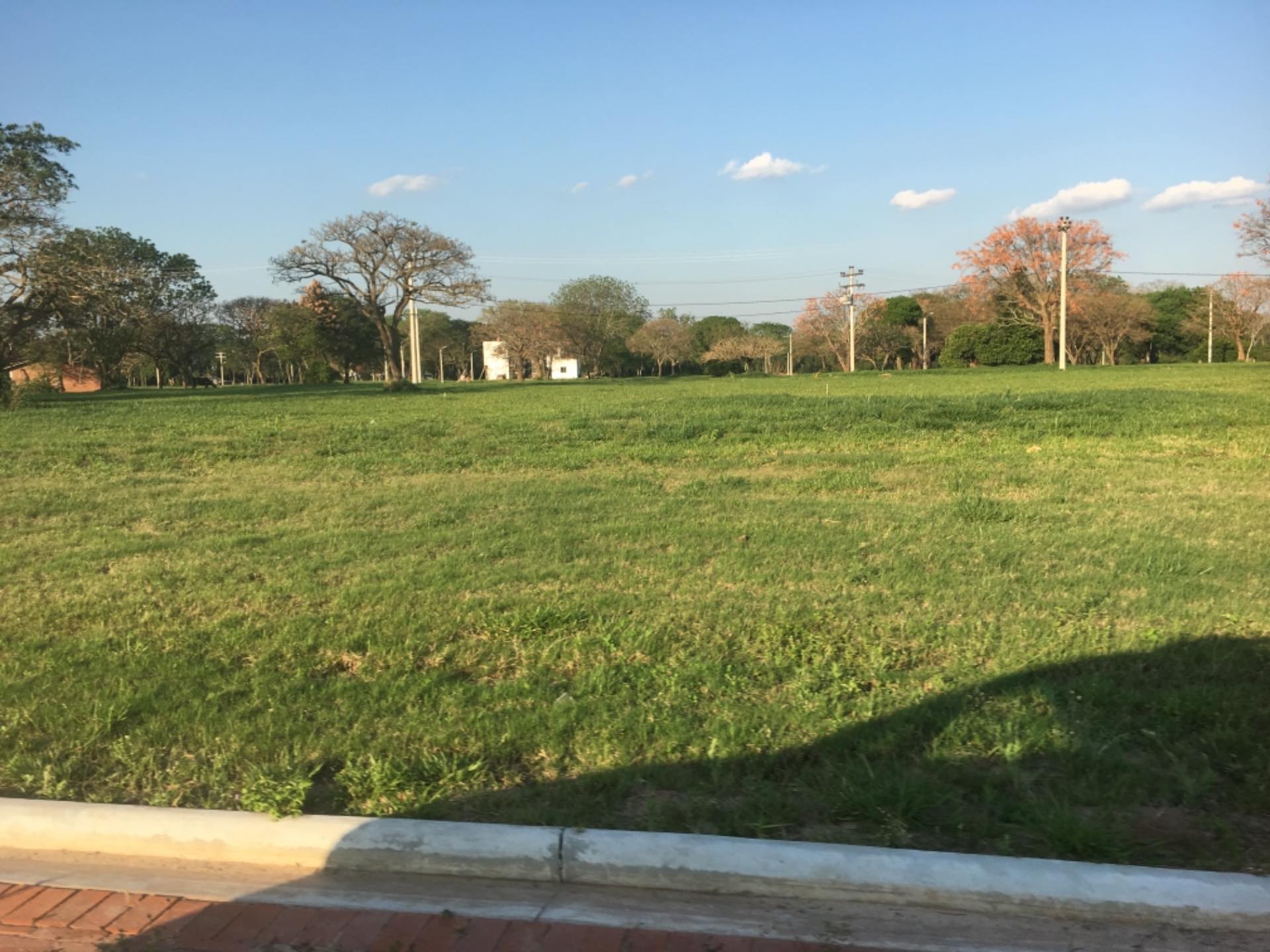 Terreno en Urubó en Santa Cruz de la Sierra    Foto 10