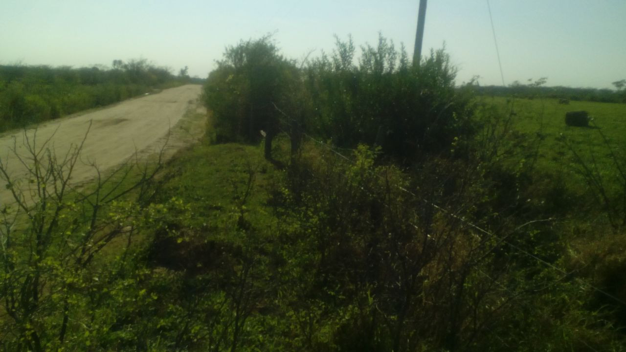 En Venta a $us 1,290,000 Foto 12