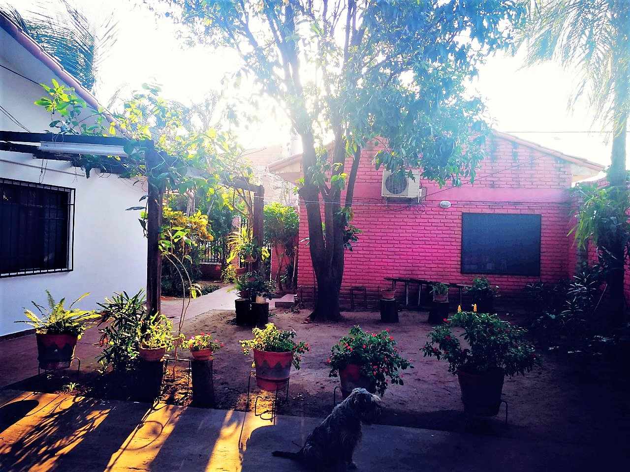 Casa  Barrio Héroes del Chaco, a solo 5 cuadras de la Av. 3 Pasos al frente Foto 10