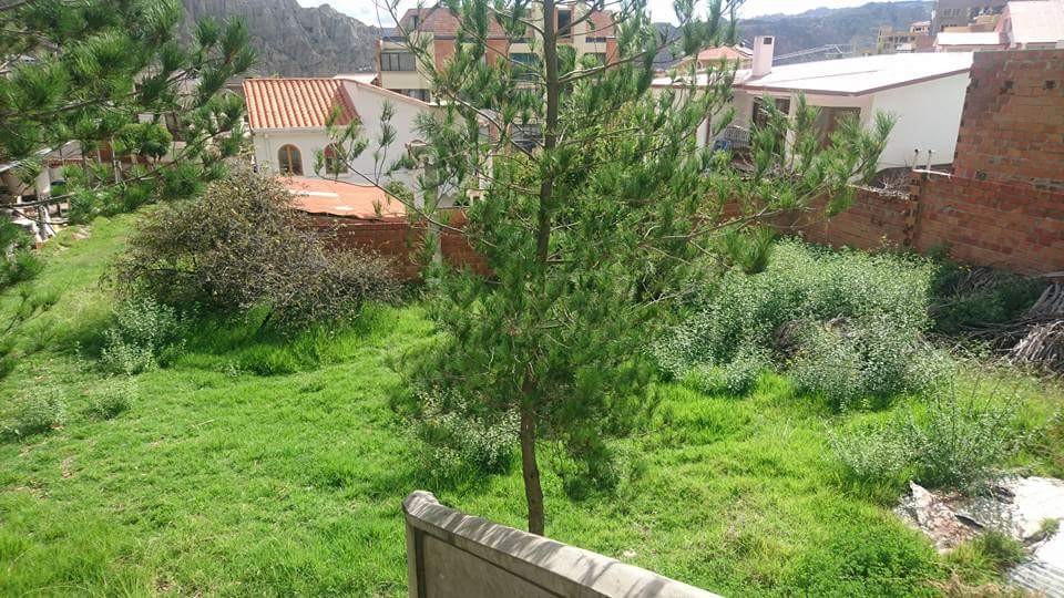 Terreno en Los Pinos en La Paz    Foto 2