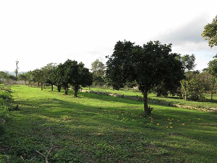 Quinta propiedad agrícola en VentaLa Guardia a 500 m de la Doble vía La Guardia Foto 19