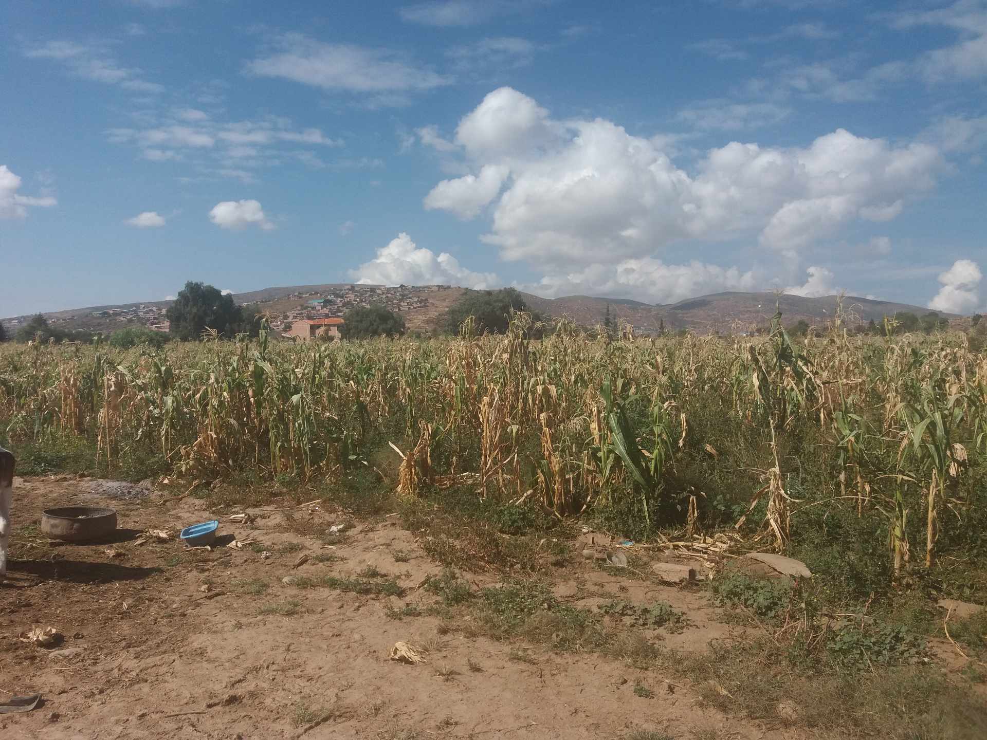 Terreno en VentaAV. PANAMERICANA ESQUINA COLEGIO SAN ANTONIO, CAMINO EN SENTIDO A MOLLE MOLLE; ZONA SUD PUCARA Foto 1