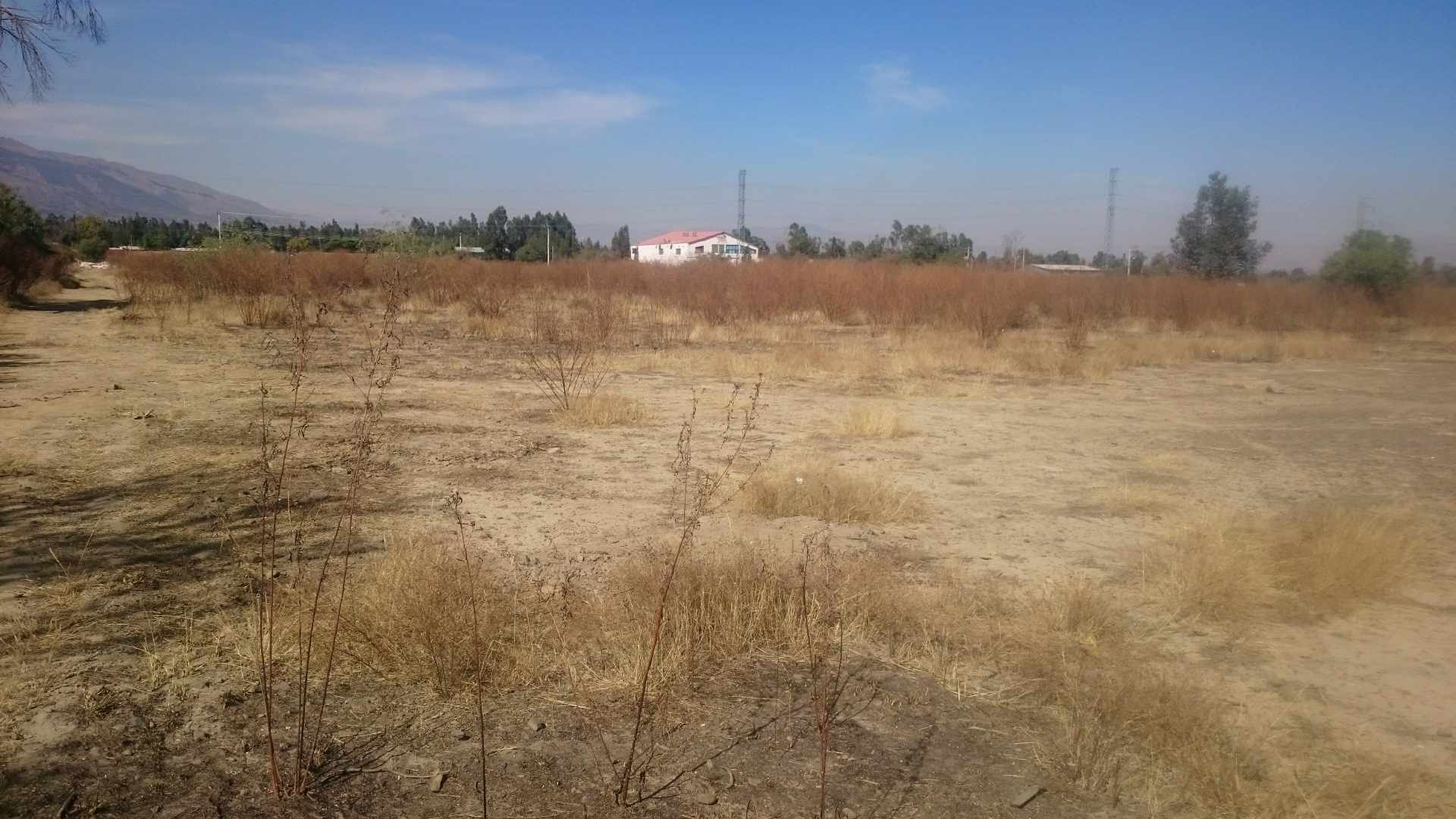 Terreno en VentaEN EL PASO DISTRITO 8 QUILLACOLLO COCHABAMBA    Foto 3