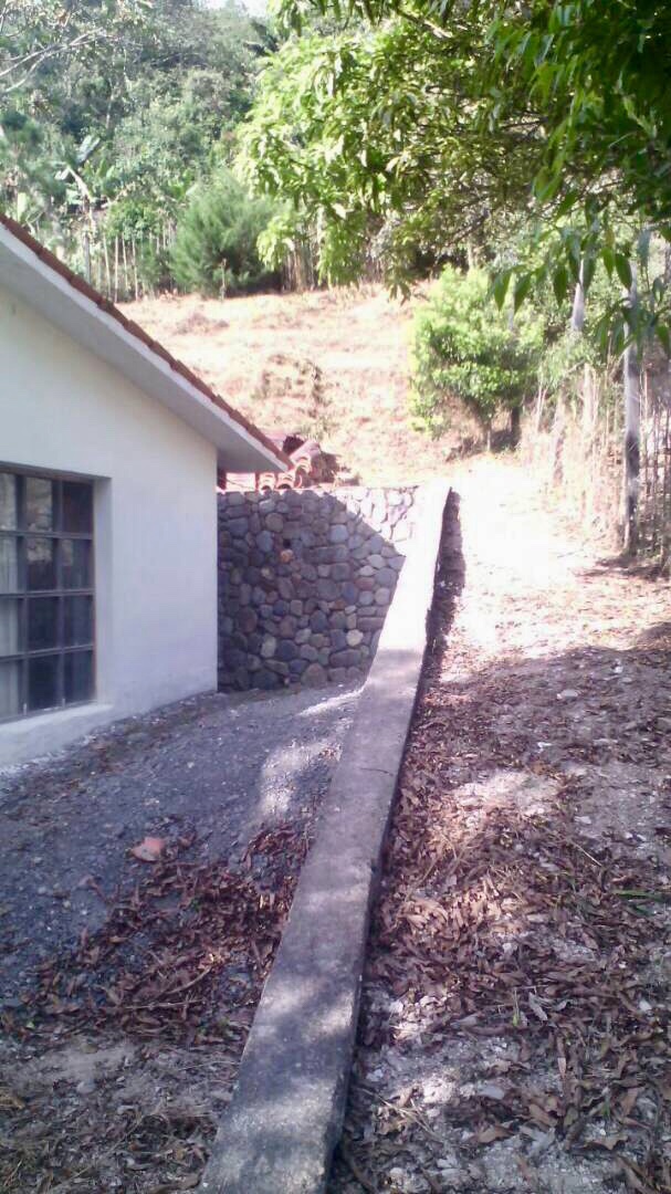 Terreno en Chulumani en Chulumani    Foto 2