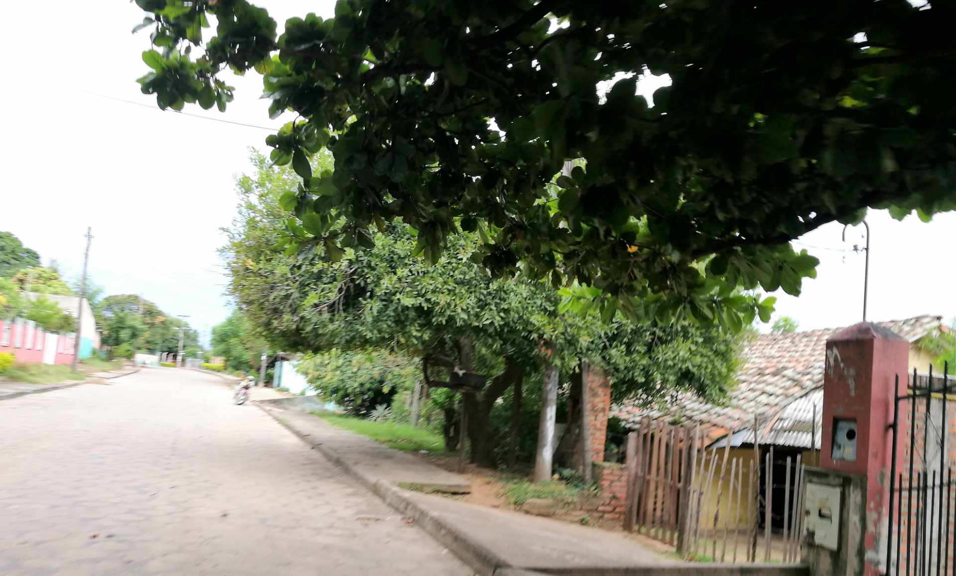Terreno en Venta?TERRENO EN LA GUARDIA barrio “EL BIBOSI”    Foto 4