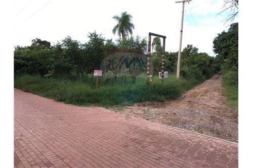 Terreno Urubo, 6km del puente, camino a tarumatu Foto 3