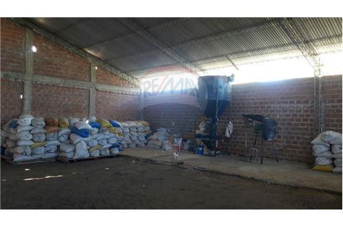 Terreno en Doble vía La Guardia en Santa Cruz de la Sierra 5 dormitorios 3 baños  Foto 7