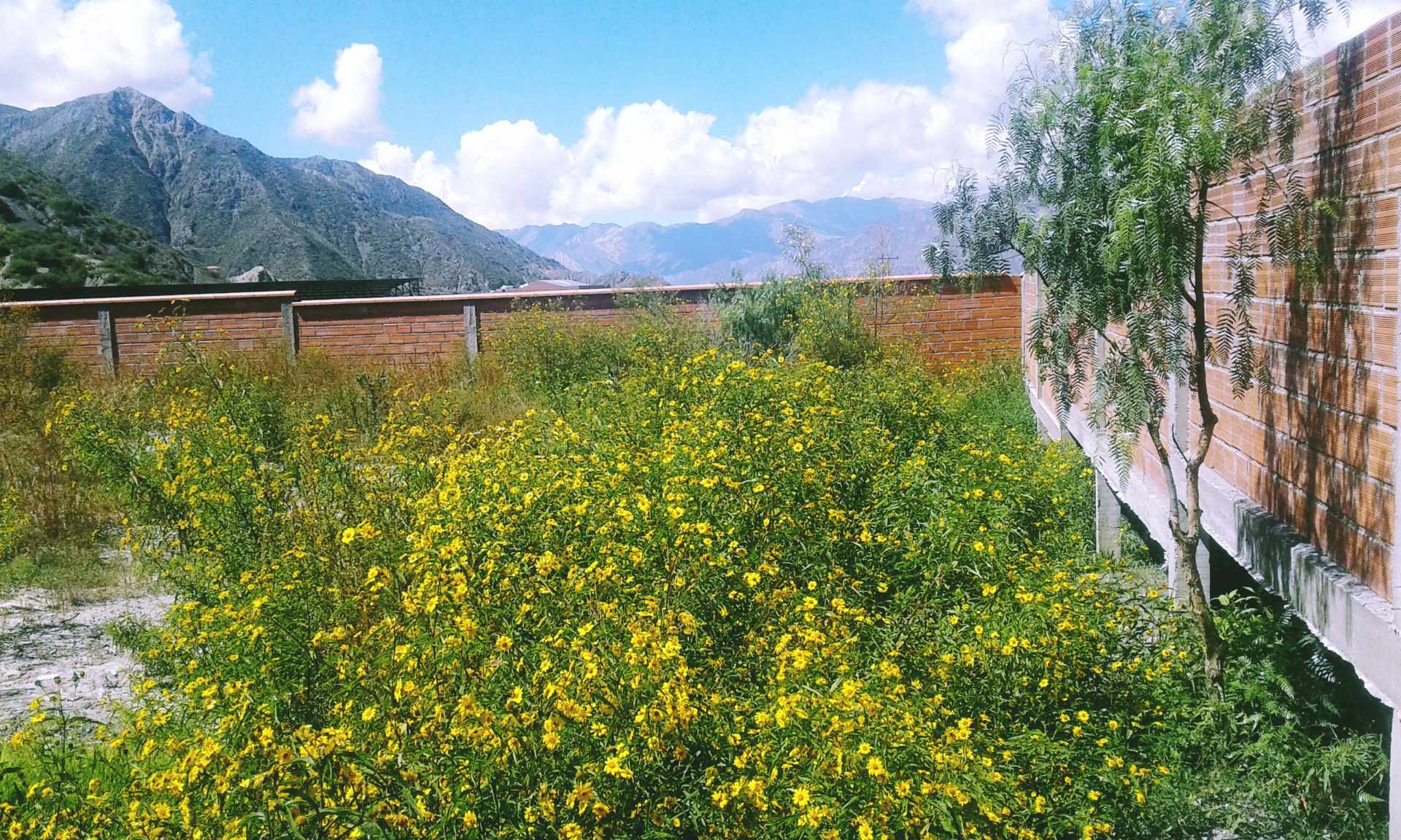 Terreno en VentaZona Carreras y Huajchilla Foto 6