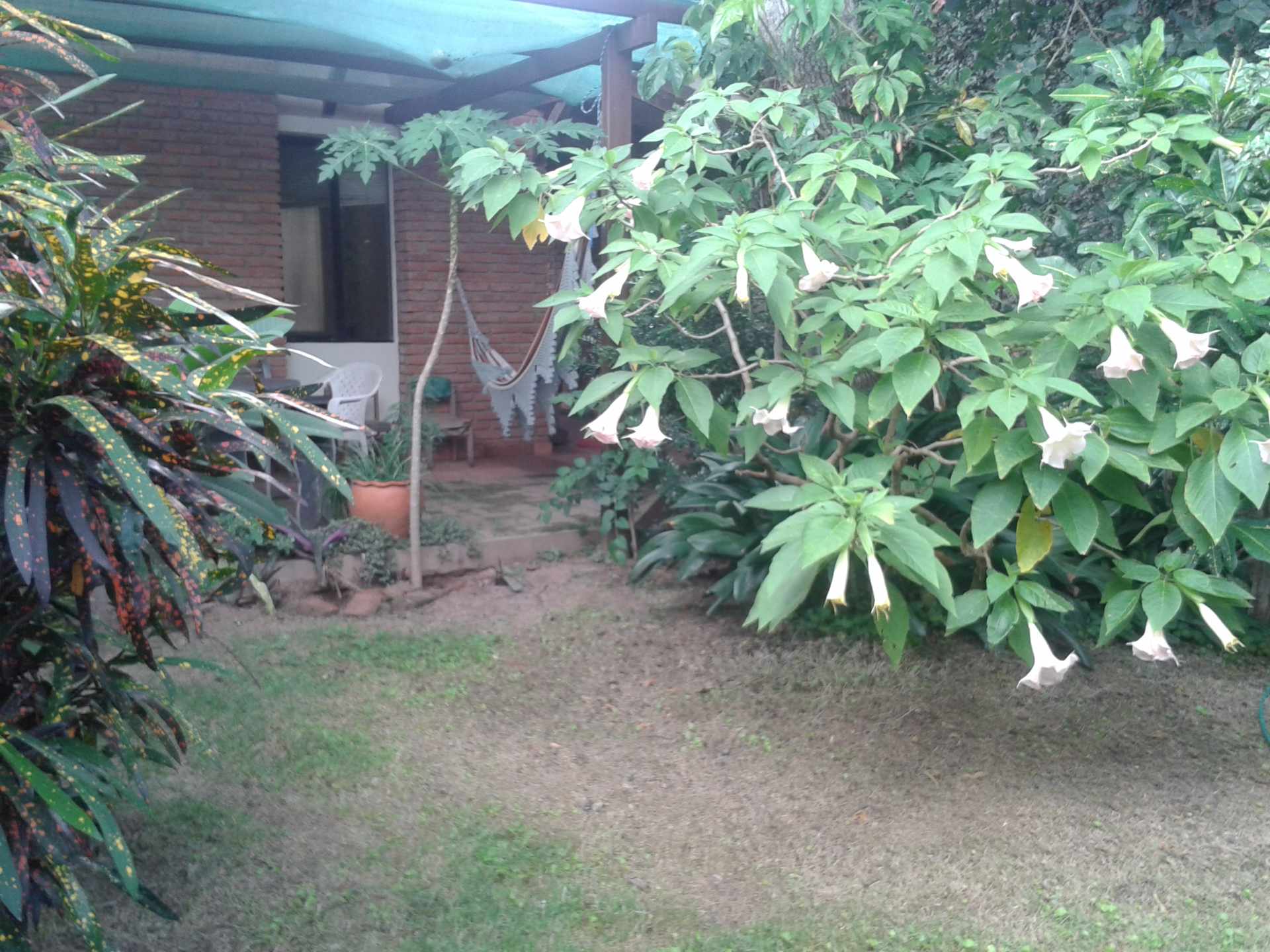 Casa en Entre 4to y 5to anillo Oeste en Santa Cruz de la Sierra 4 dormitorios 2 baños 2 parqueos Foto 5