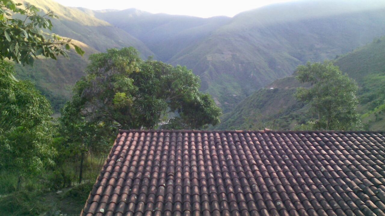 Terreno en Chulumani en Chulumani    Foto 4