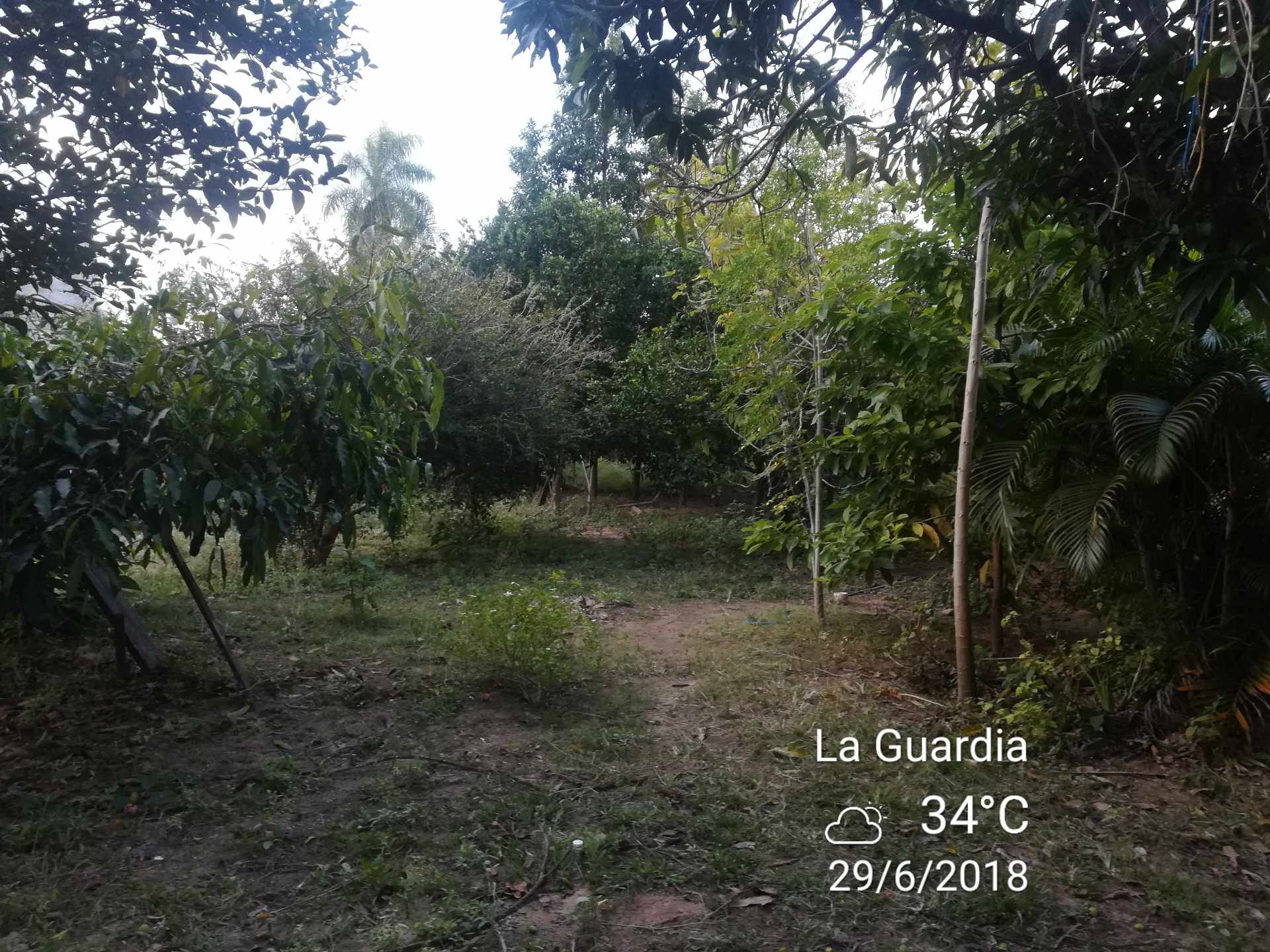 Casa Calle Virgen de Asunción Nro 125, Barrio Aguilera Foto 12