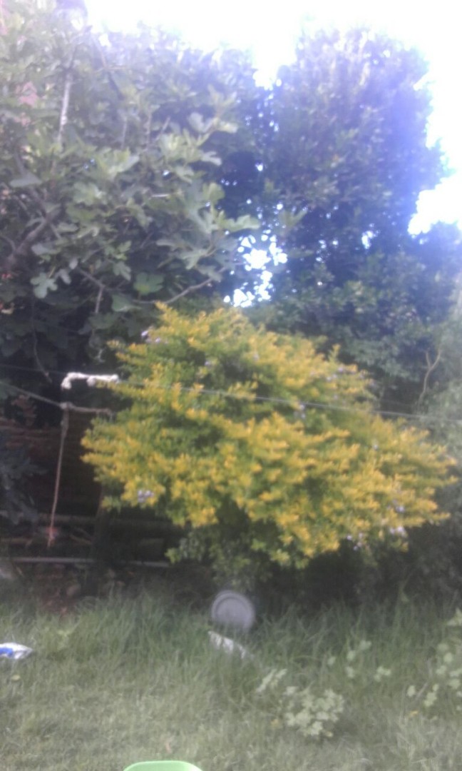 Casa en VentaCalle 14 de Septiembre Z. 14 de Septiembre Vinto - Quillacollo 5 dormitorios 1 baños 1 parqueos Foto 3