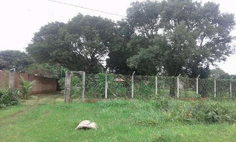 Casa en AlquilerAv. virgen de cotoca 8vo anillo 2 dormitorios 2 baños 27 parqueos Foto 9