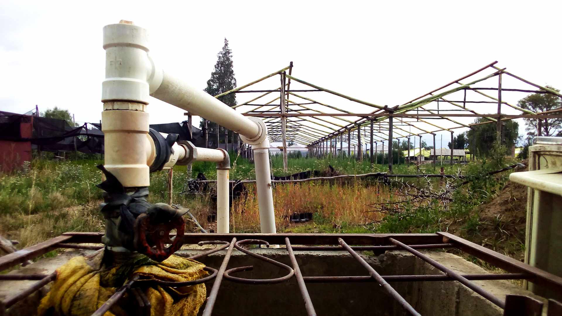 Quinta propiedad agrícola en VentaPunata Foto 18