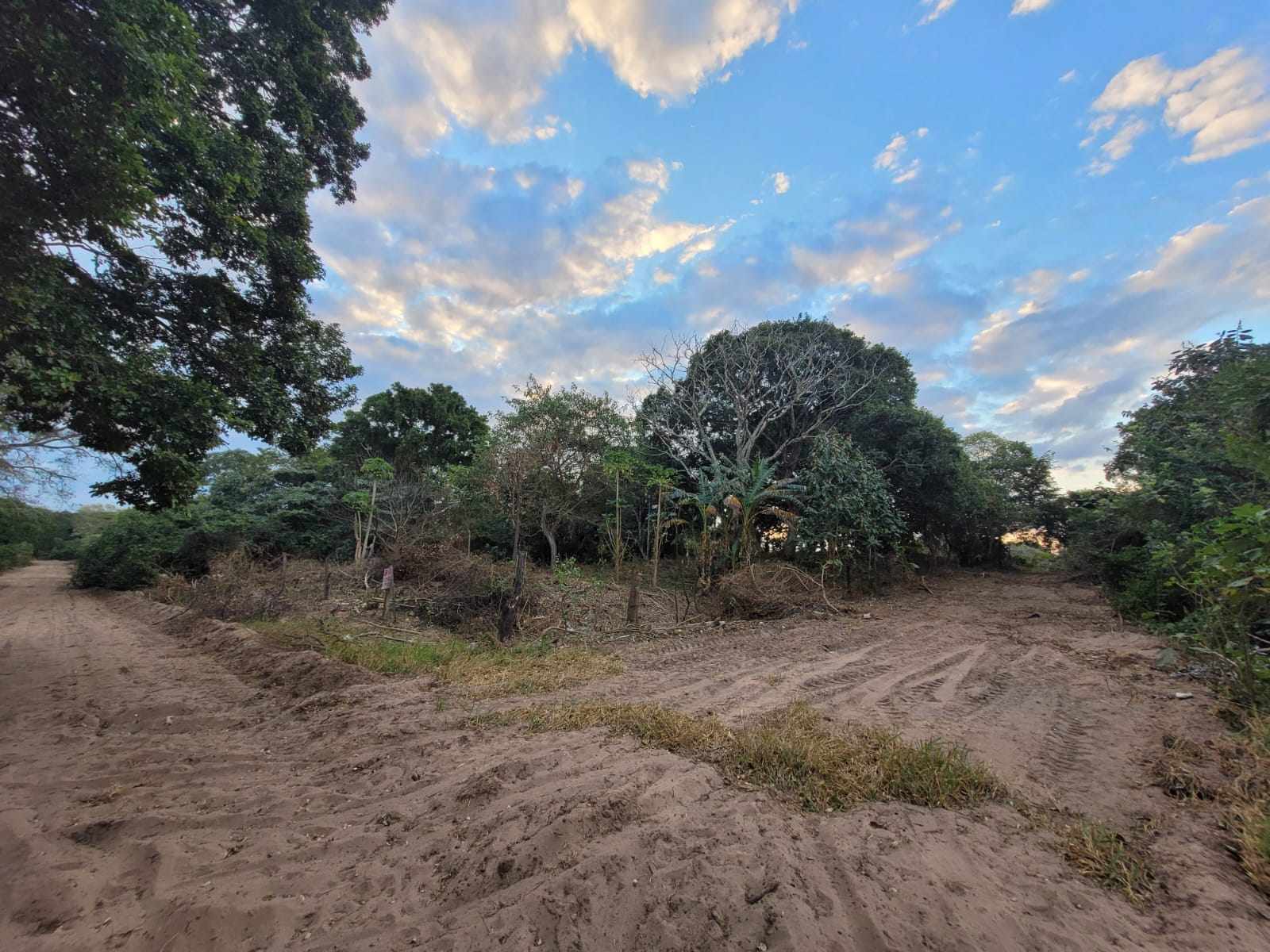 Terreno en Entre 7mo y 8vo anillo Norte en Santa Cruz de la Sierra    Foto 3