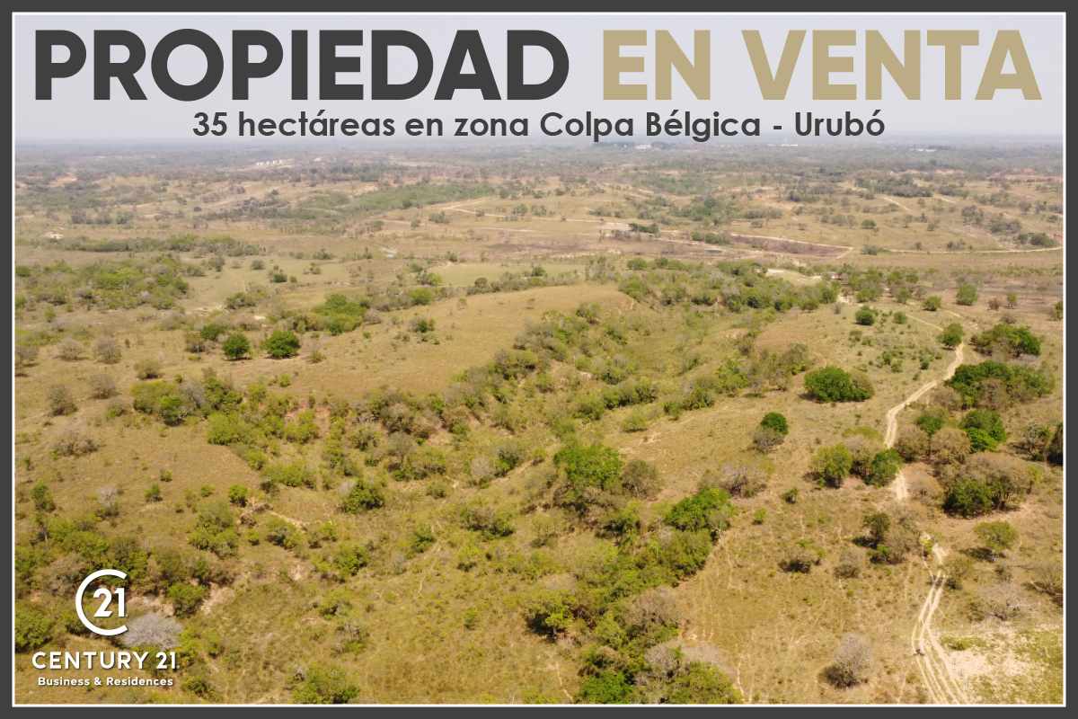 Quinta propiedad agrícola en Urubó en Santa Cruz de la Sierra    Foto 1