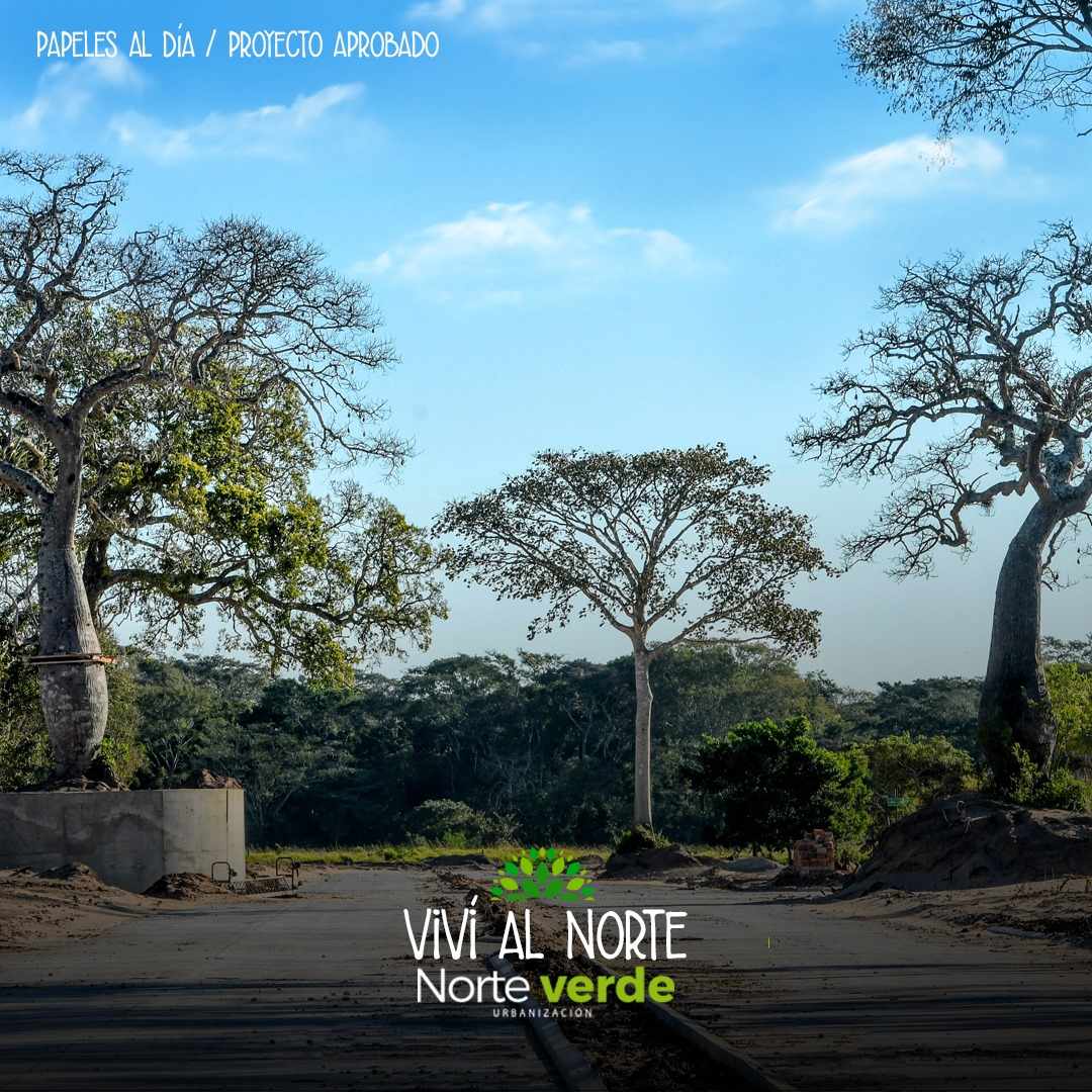 En Venta a $us 21,000 Foto 10