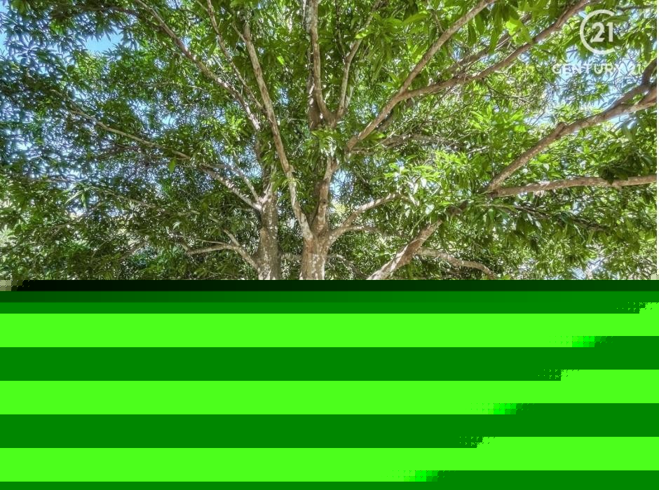 Quinta propiedad agrícola en VentaCarretera a Cotoca Foto 4