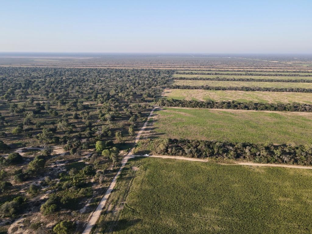 Quinta propiedad agrícola en VentaEn Venta: 2.300 Hectáreas Agrícola - Ganadera en Tres Cruces Foto 11