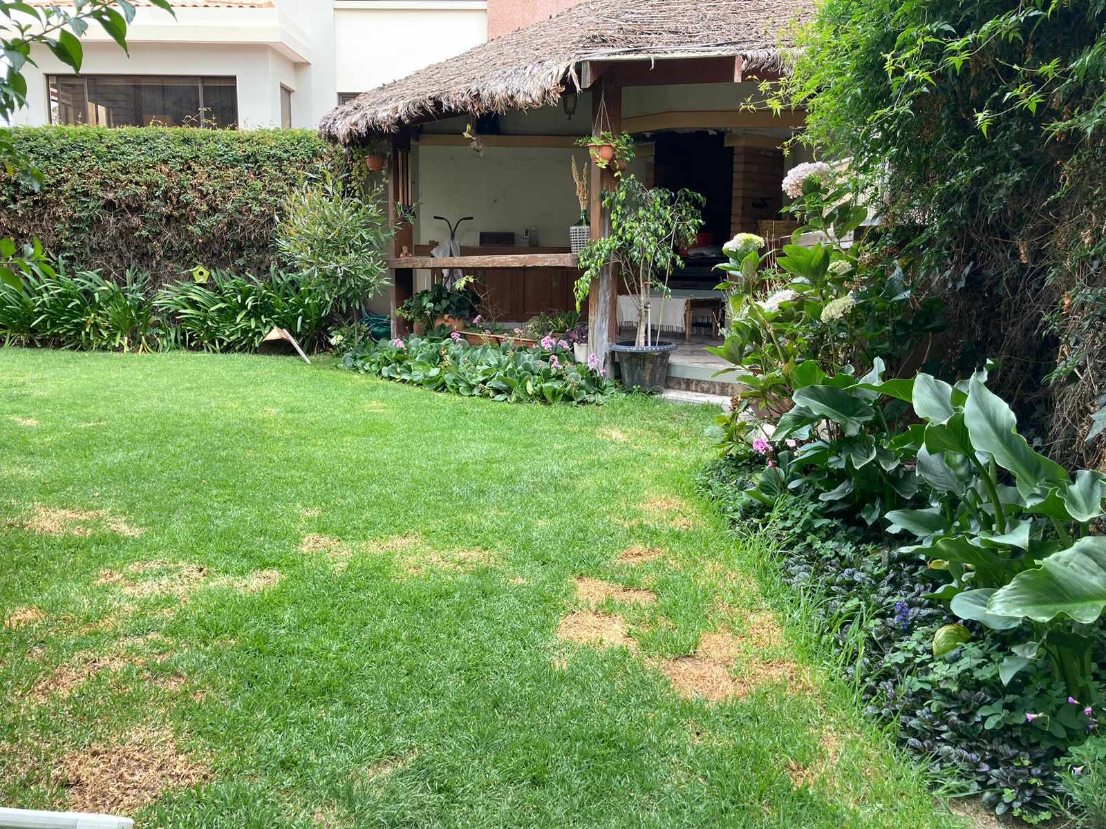 Departamento en VentaCalle 14 Calacoto 3 dormitorios 4 baños 2 parqueos Foto 25