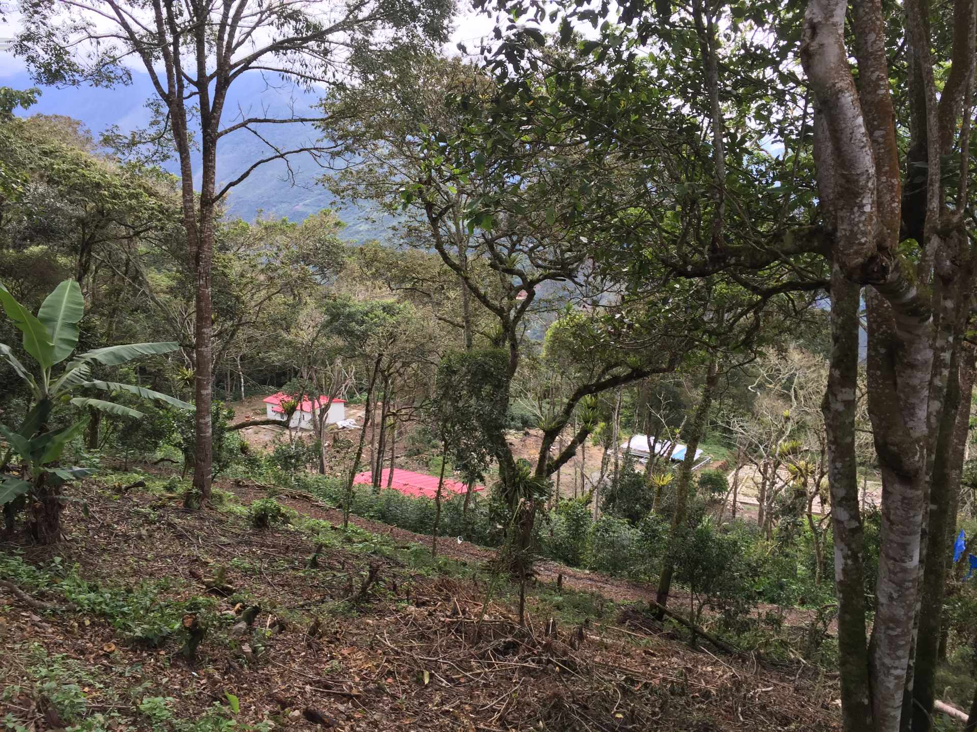 Terreno Coroico Foto 13