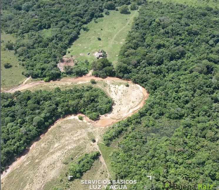 Terreno en VentaUrubó zona Norbélgica atrás de Puerto Santa Cruz.  Foto 10