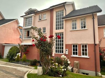 80ed71e773a34900e7064469dc638d714eb4c2