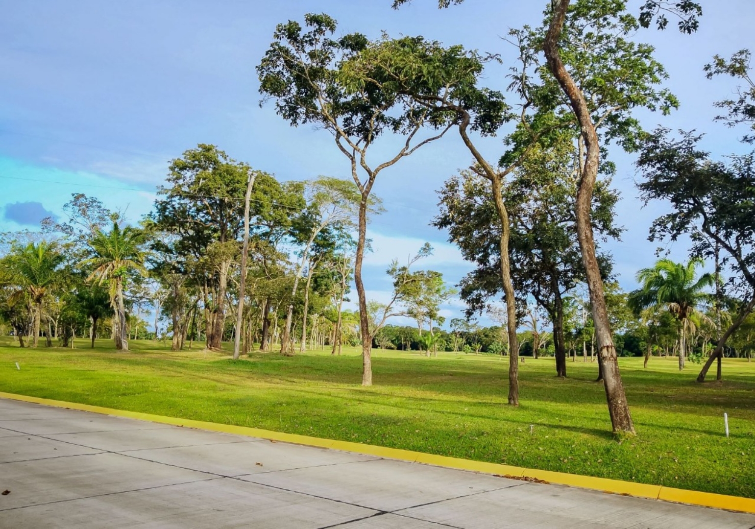 Terreno en Urubó en Santa Cruz de la Sierra    Foto 10