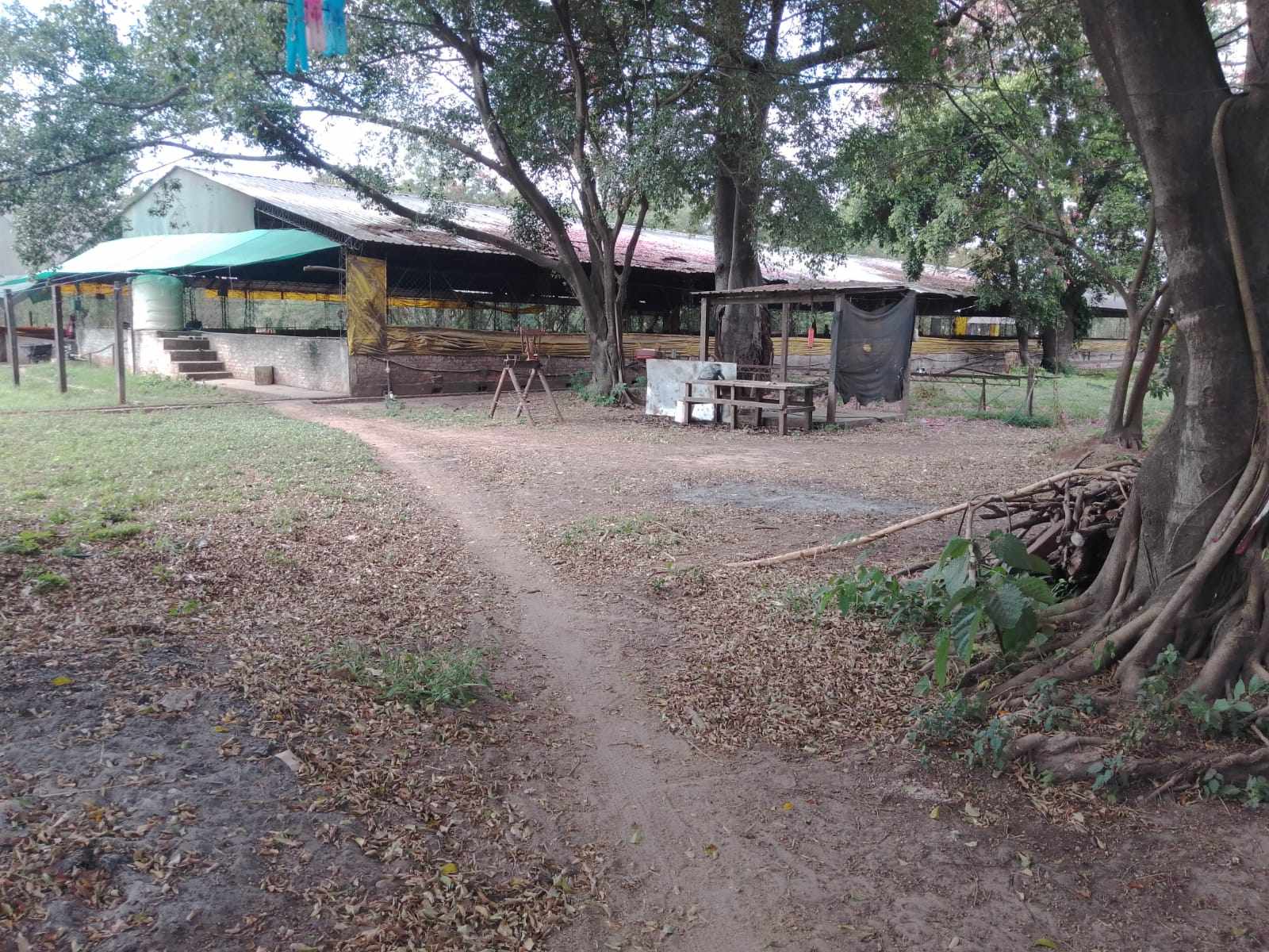 Quinta propiedad agrícola en VentaCOTOCA, ZONA SUE ESTE  Foto 12