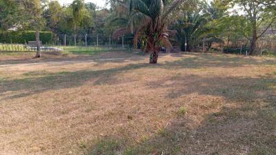 811e916757d1462919108794e823cbfa8c4982