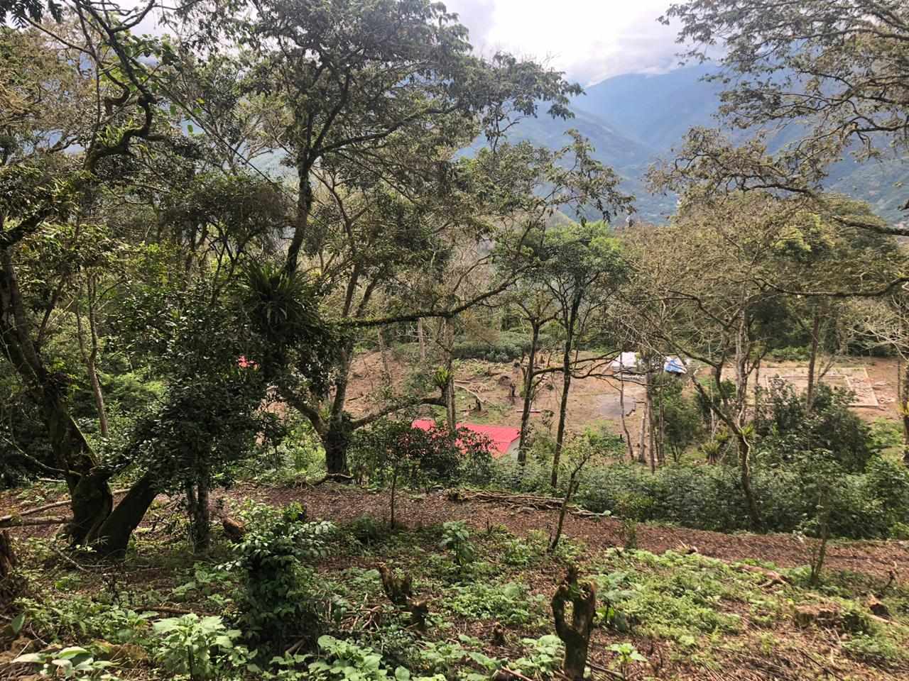 Terreno Coroico Foto 17