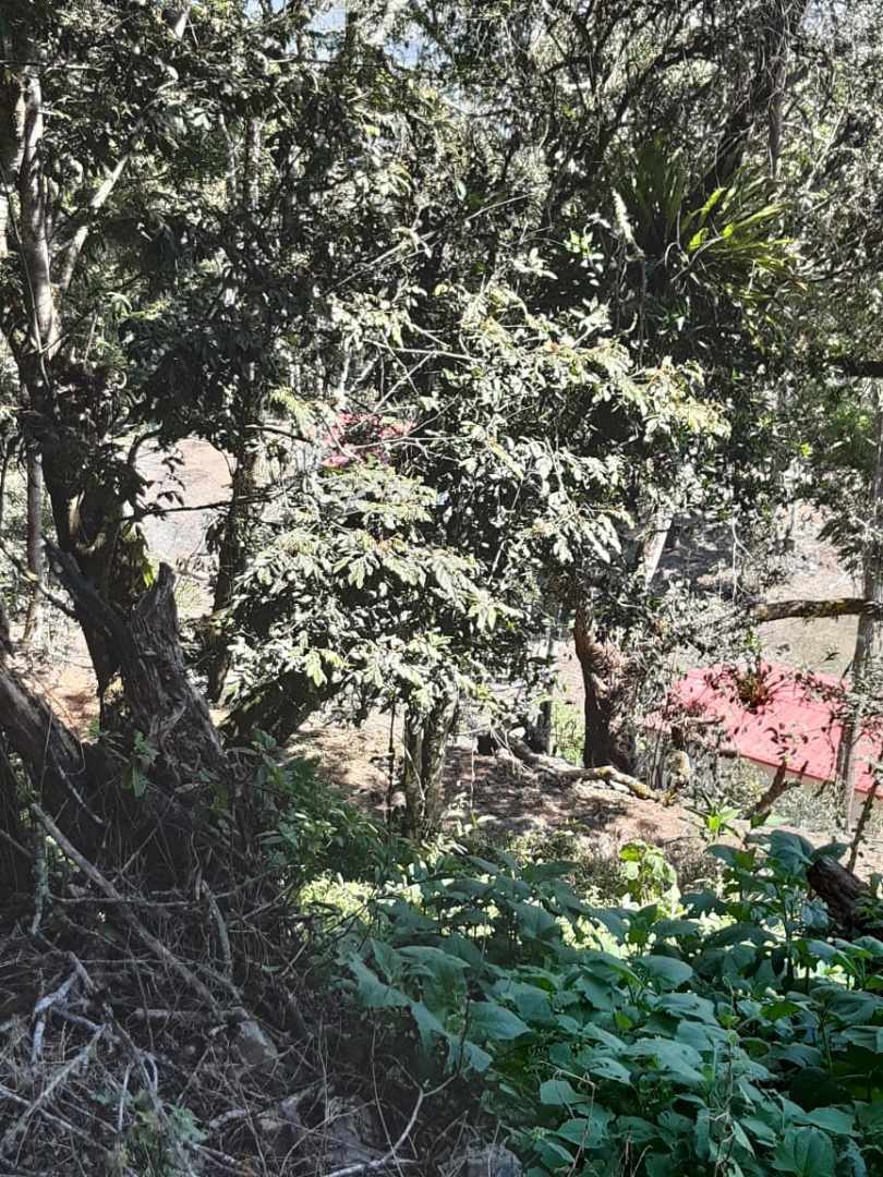 Terreno Coroico Foto 3