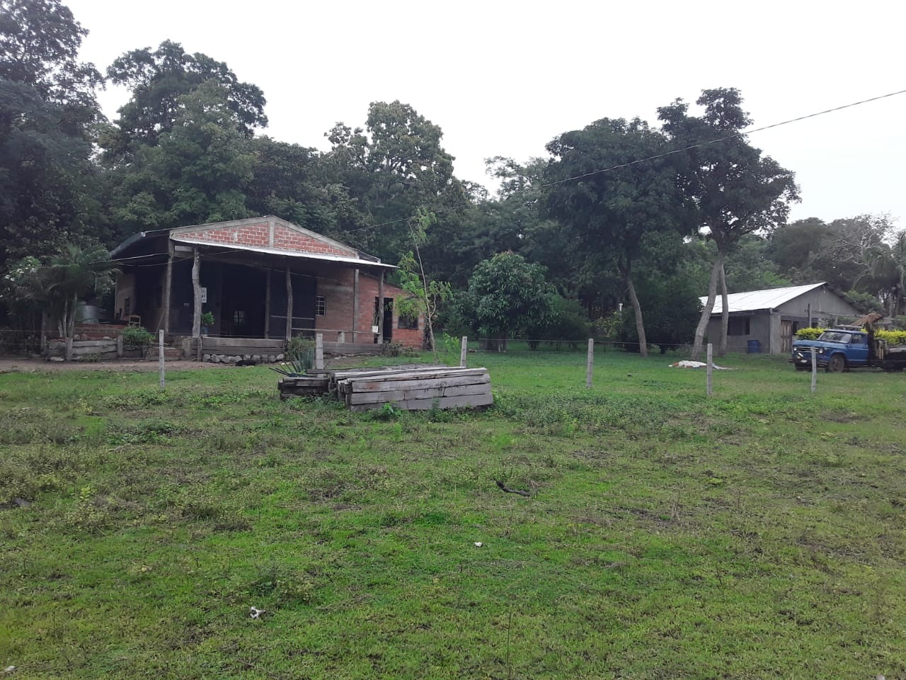 Quinta propiedad agrícola en VentaSan Ramon, Prov. Ñinflo de Chavez, Santa Cruz Foto 2