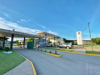 81aa8146a9a1e925a84c2ae4a3d29afd9c95c2