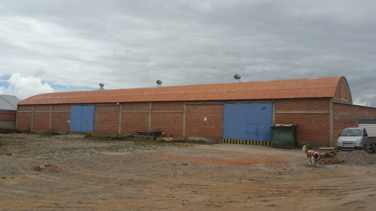 Galpón EL ALTO SOBRE LA AV. 6 DE MARZO, GALPONES EN ALQUILER Foto 3