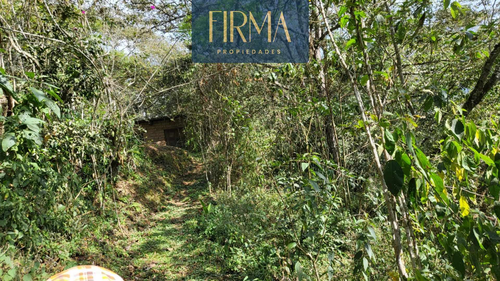 Terreno en Coroico en Coroico    Foto 4