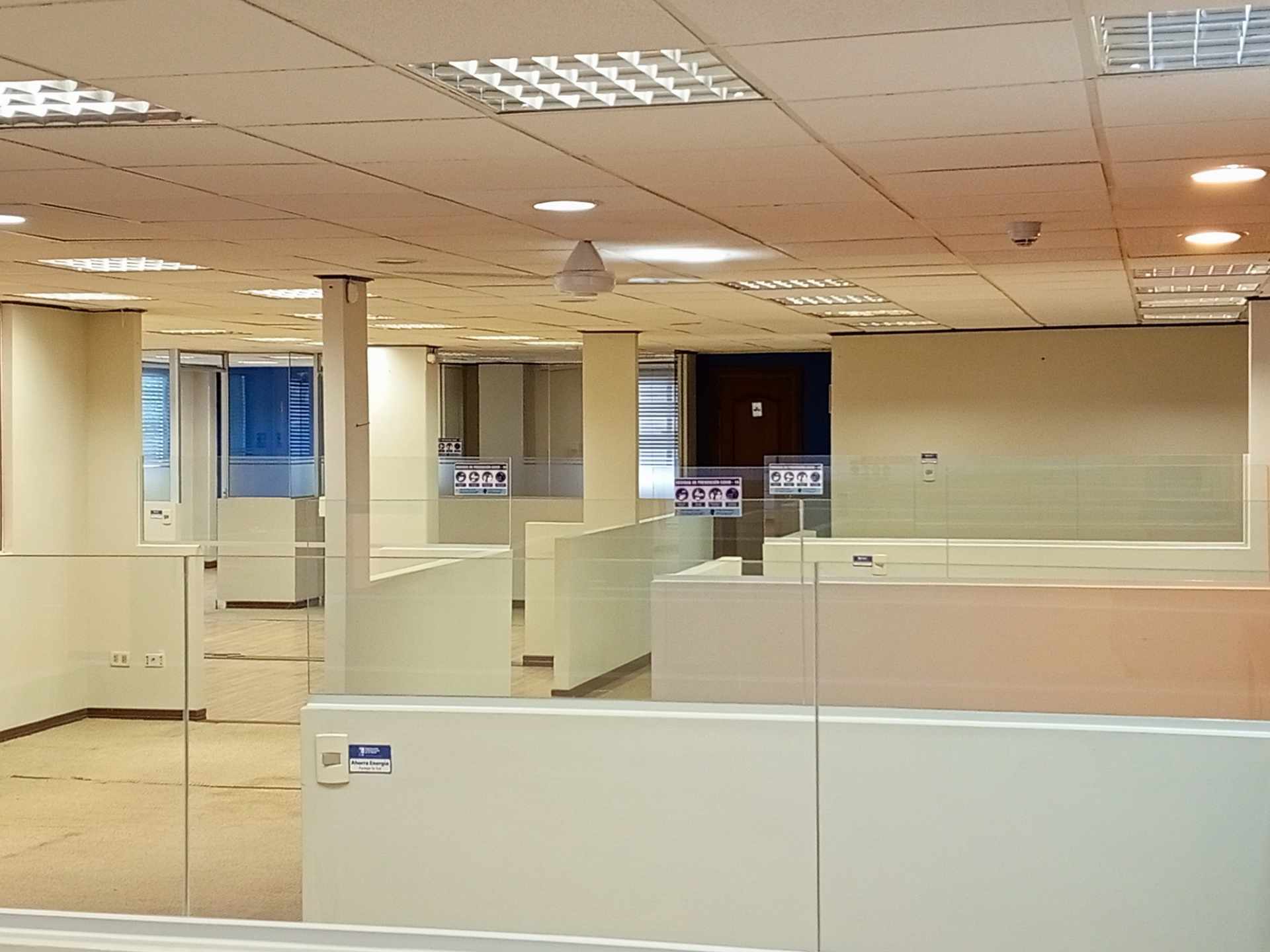 Oficina en AlquilerCalacoto calle 18 entre Av. Sanchez B. y J.C.Patiño 17 dormitorios 7 baños 3 parqueos Foto 7
