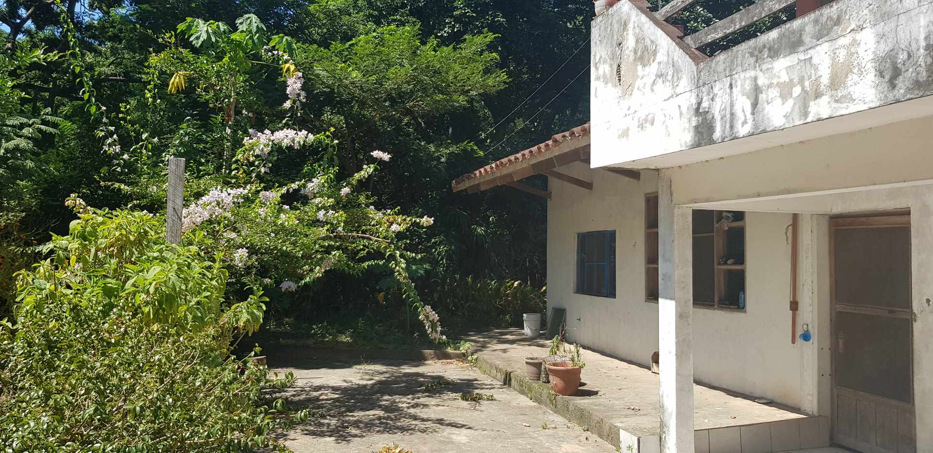 Terreno La Guardia Foto 8