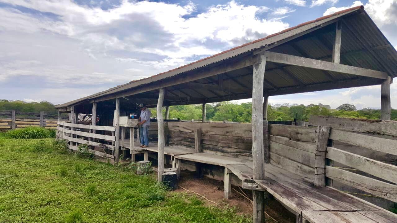 Quinta propiedad agrícola en VentaEn Venta 546 Hectáreas Ganaderas y Potencialmente Agrícolas en San Ignacio de Velasco    Foto 10