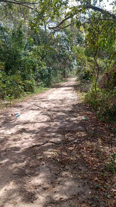 823d91275759f73539aa4c66dc3bf9a6ac86a2