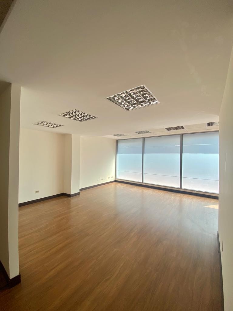 Oficina en AlquilerLINDA OFICINA EN ALQUILER, CALACOTO, HERMOSA VISTA Y TERRAZA PRIVADA CON JARDIN 7 dormitorios 4 baños 4 parqueos Foto 8