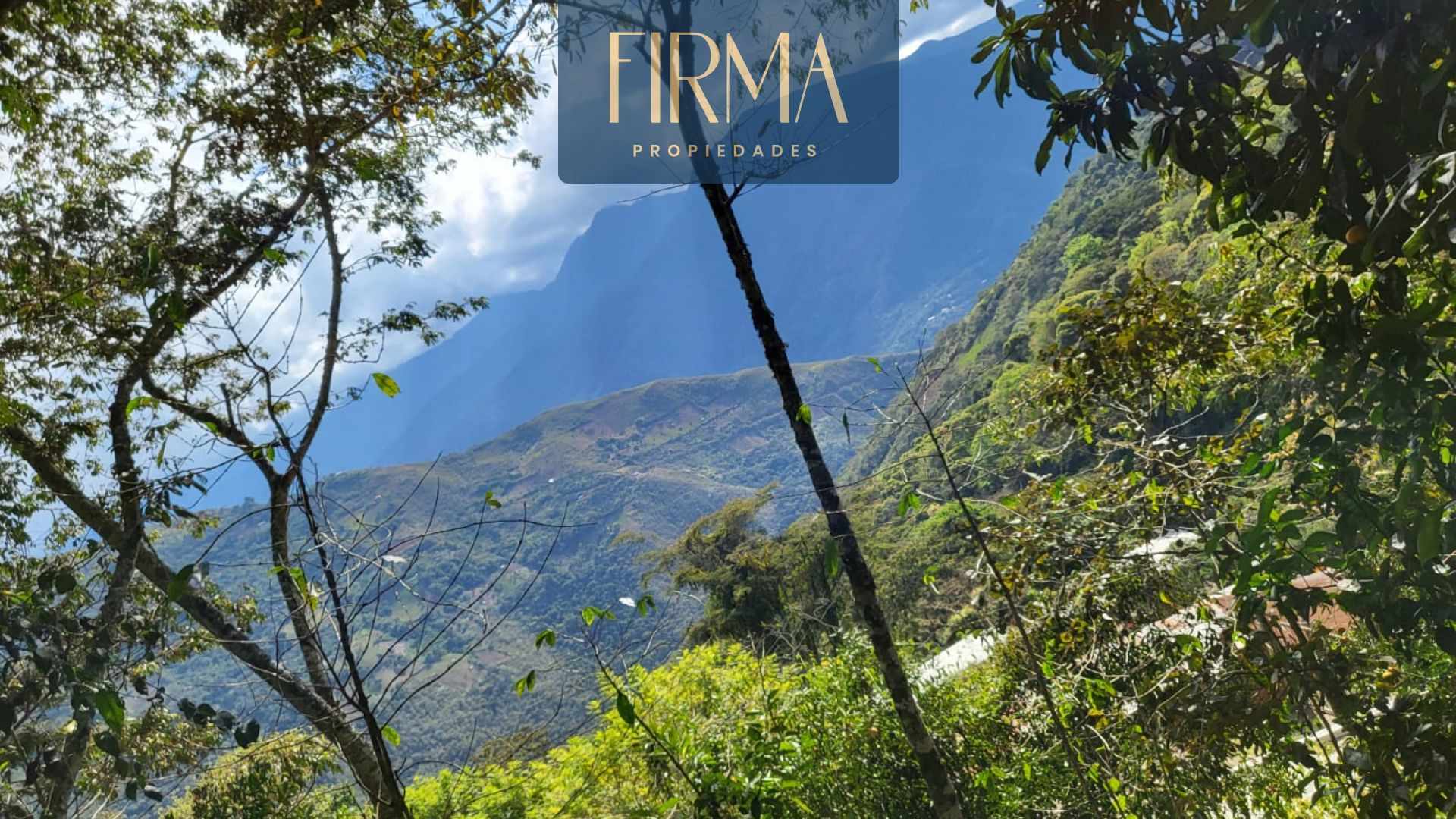 Terreno en Coroico en Coroico    Foto 19