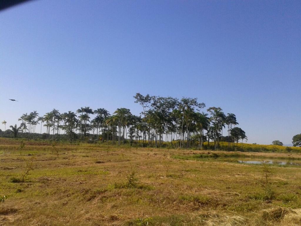 Quinta propiedad agrícola en VentaCerca de Puerto Gretel,  zona Yapacani, camino a estacion Vibora.    Foto 3