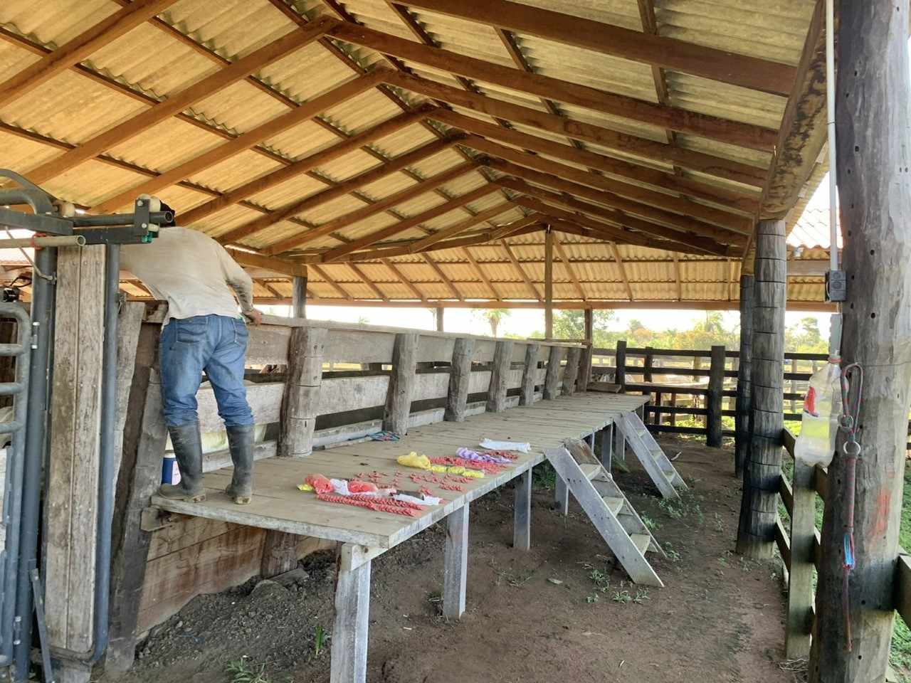 Quinta propiedad agrícola en VentaConcepción: 1.980 Hectáreas Ganaderas sobre Carretera Foto 2
