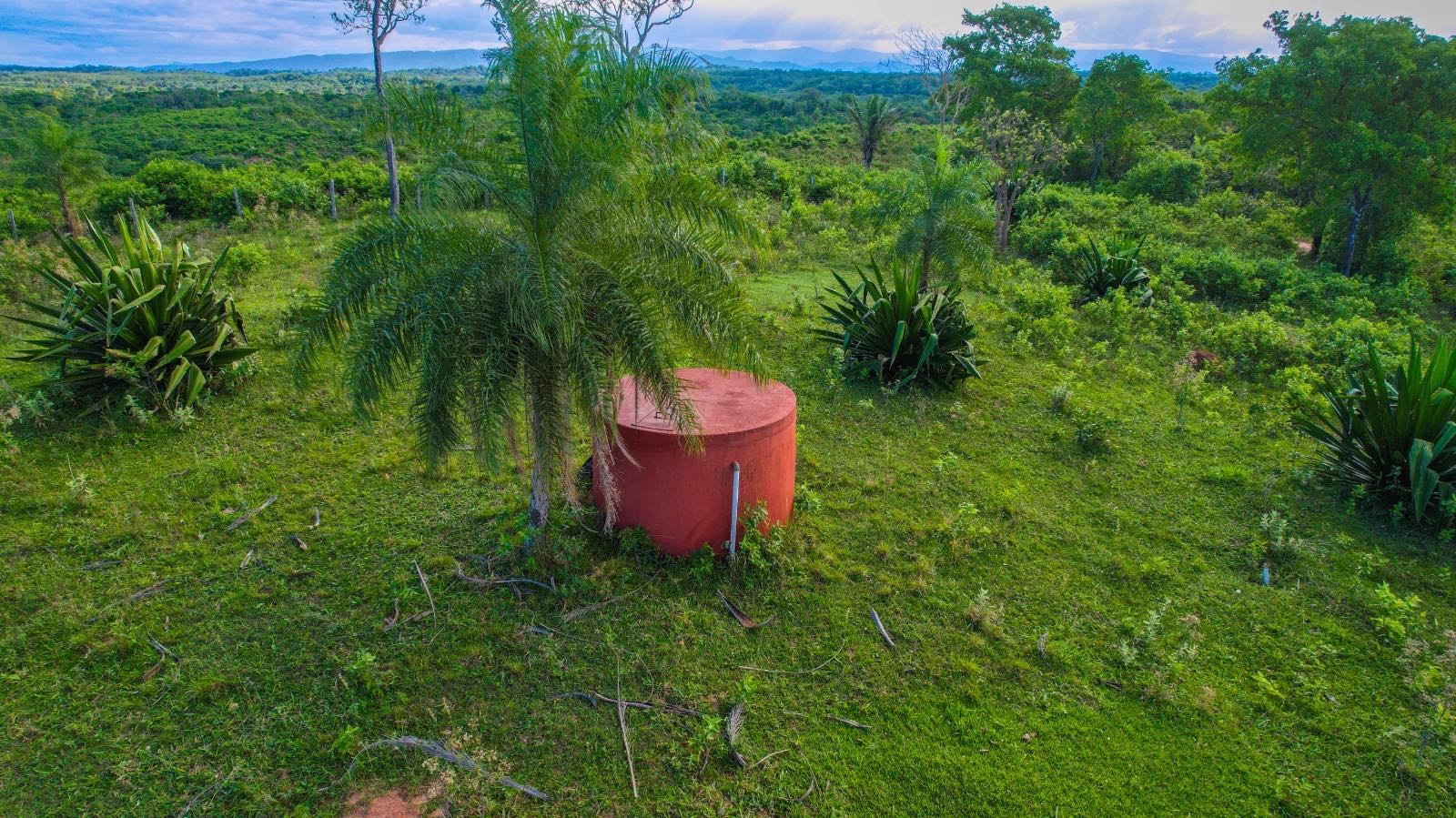 Quinta propiedad agrícola en Urubó en Santa Cruz de la Sierra    Foto 9