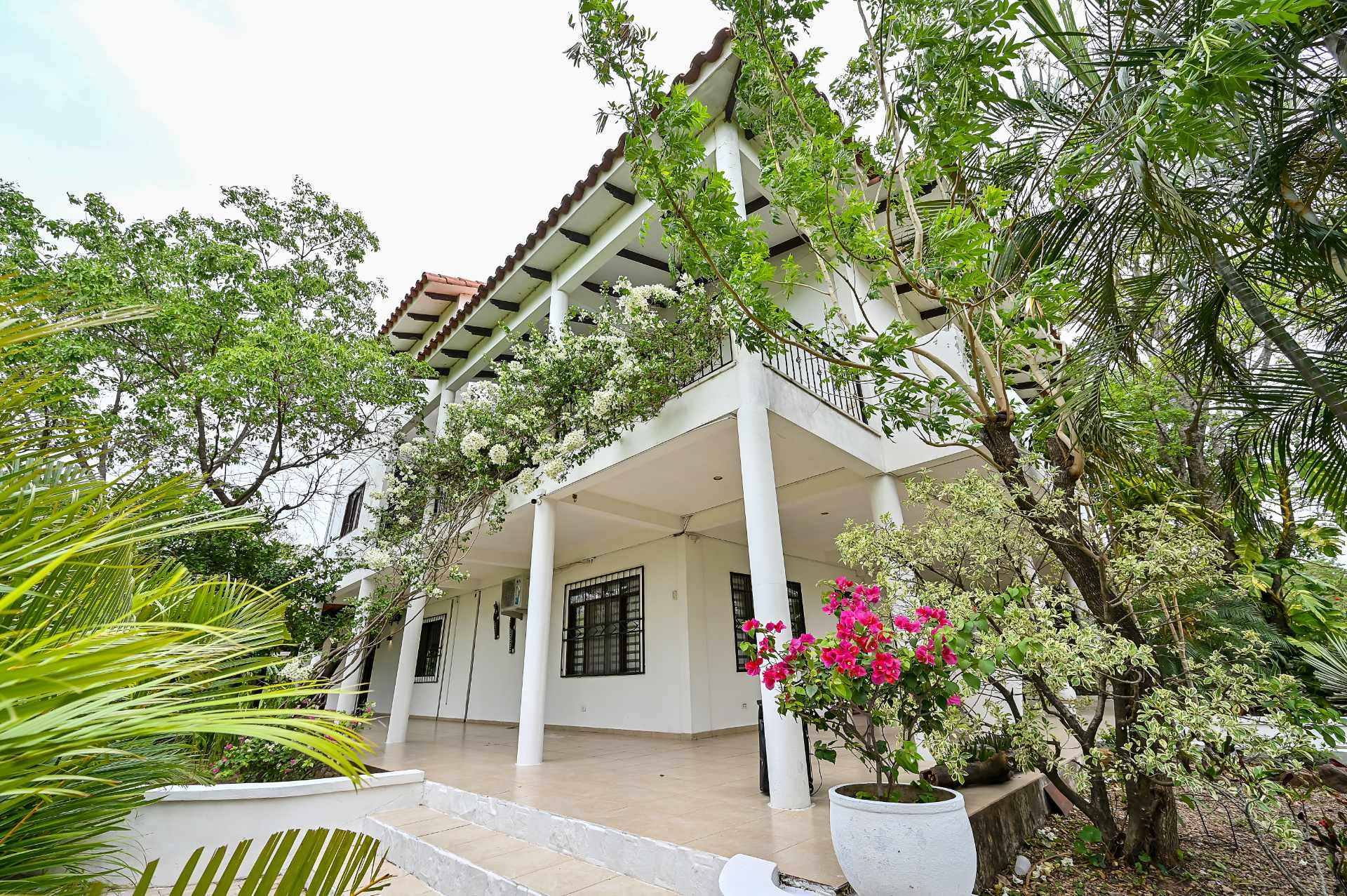 Quinta propiedad agrícola CASA QUINTA LAS ARECAS , LA GUARDIA, COMUNIDAD PEDRO LORENZO Foto 6
