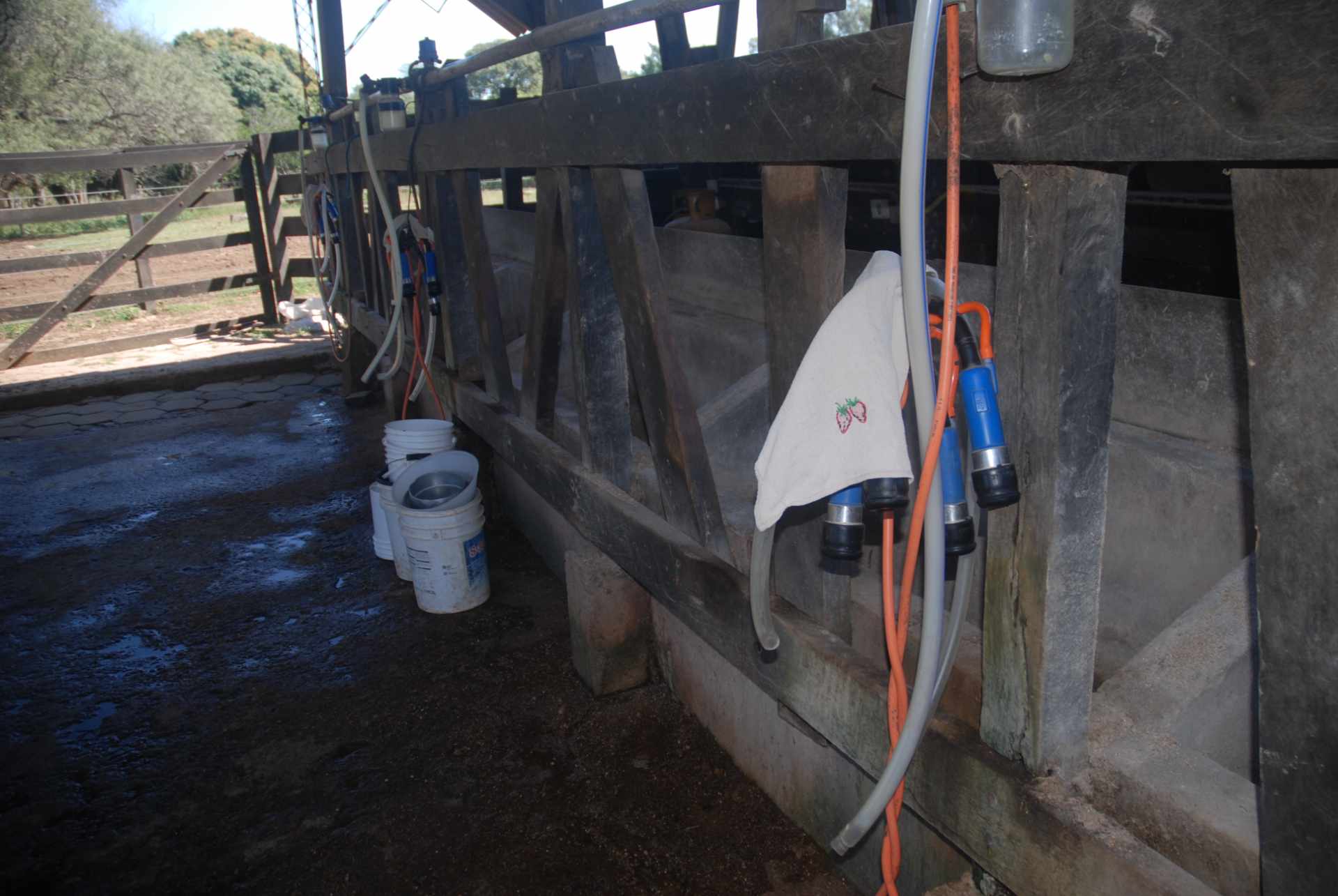 Quinta propiedad agrícola en Venta A 20mn de Warnes  vendo una Hermosa  Lecheria productiva  de 56ha  Foto 33