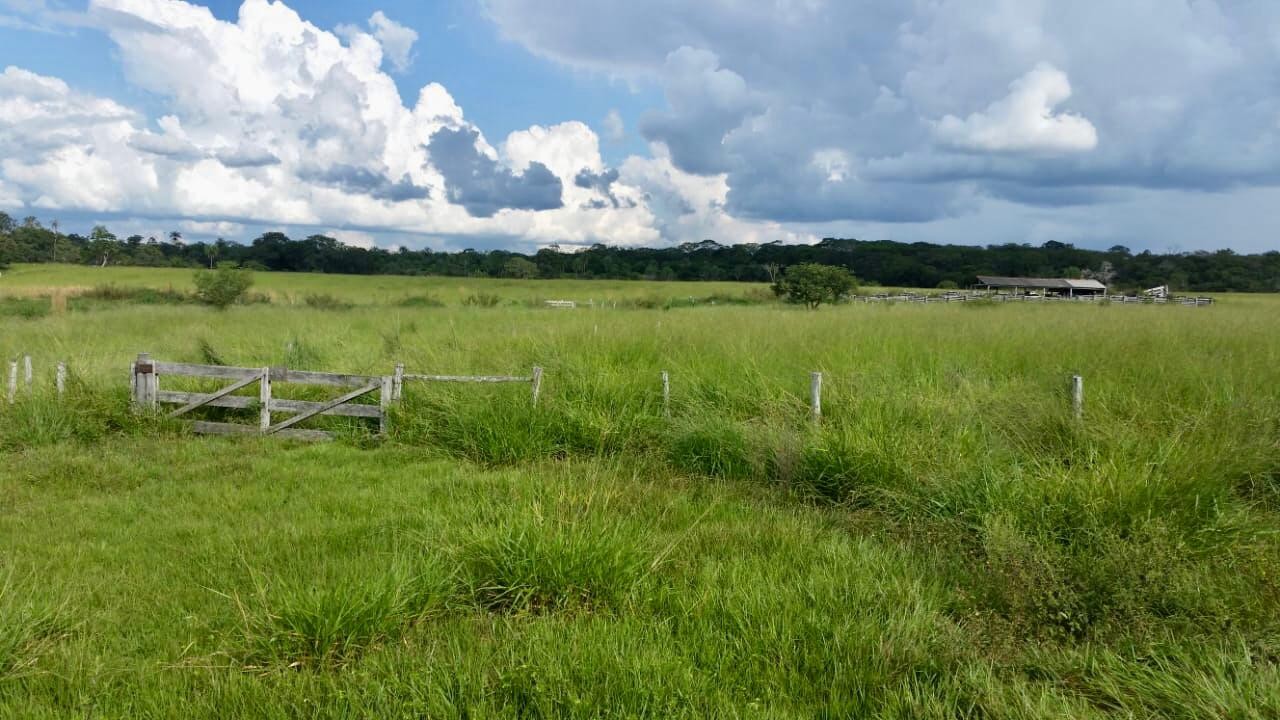 Quinta propiedad agrícola en VentaEn Venta 546 Hectáreas Ganaderas y Potencialmente Agrícolas en San Ignacio de Velasco    Foto 5