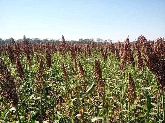 En Venta a $us 130,000 Foto 5